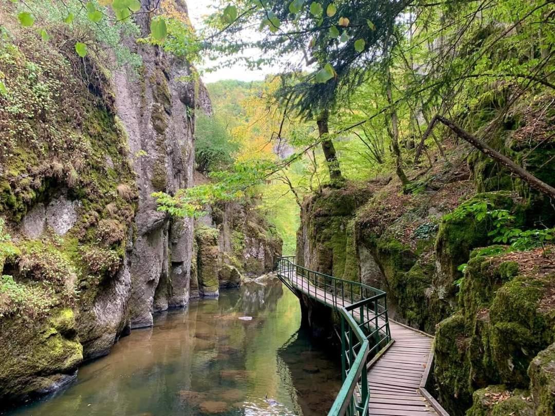 Къща Чолаков И Син - Стаи За Гости Devin Exteriör bild